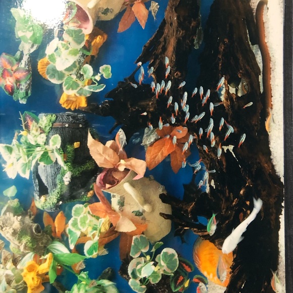 Orange green magnetic fish tank/reptile accessory - Picture 7 of 11